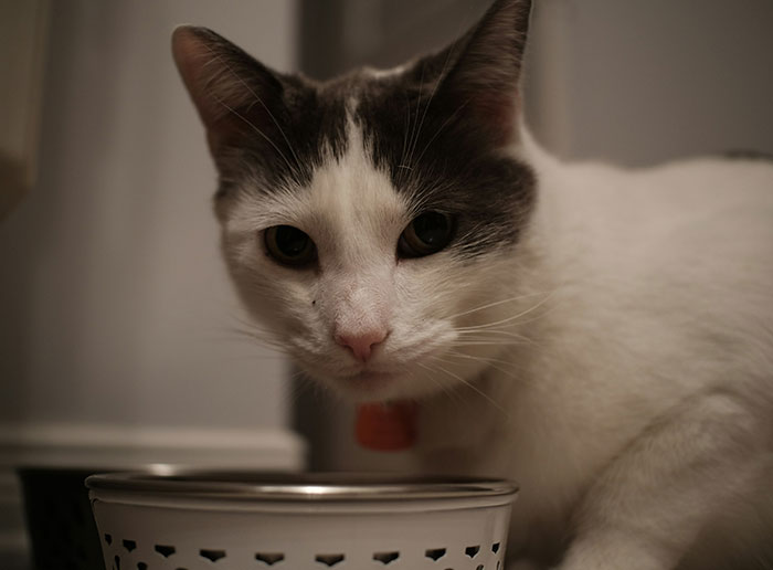 image-20260410161749-10