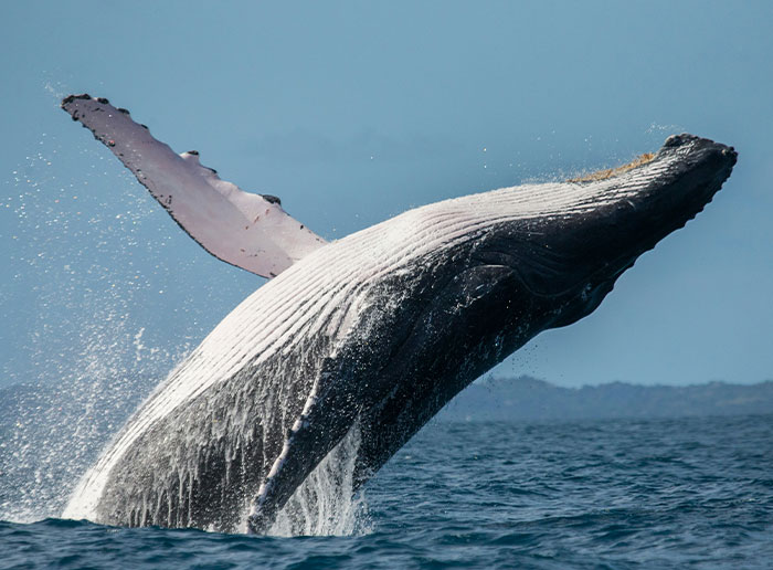 image-20260410161754-12