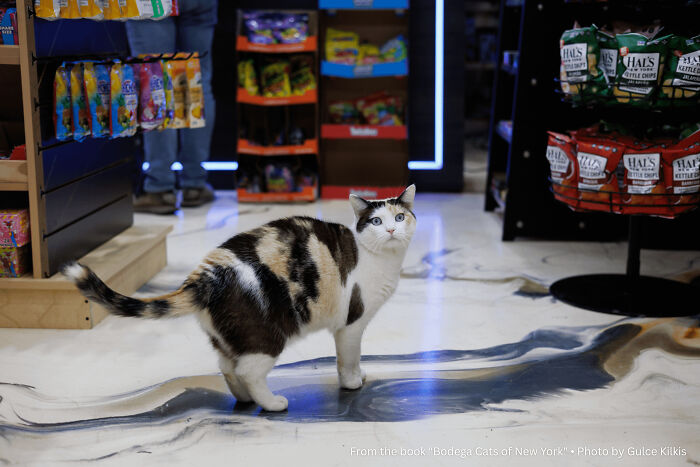 image-20260410230607-2