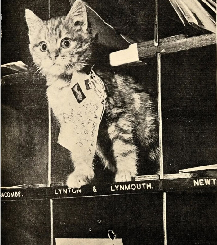 image-20260410230632-10