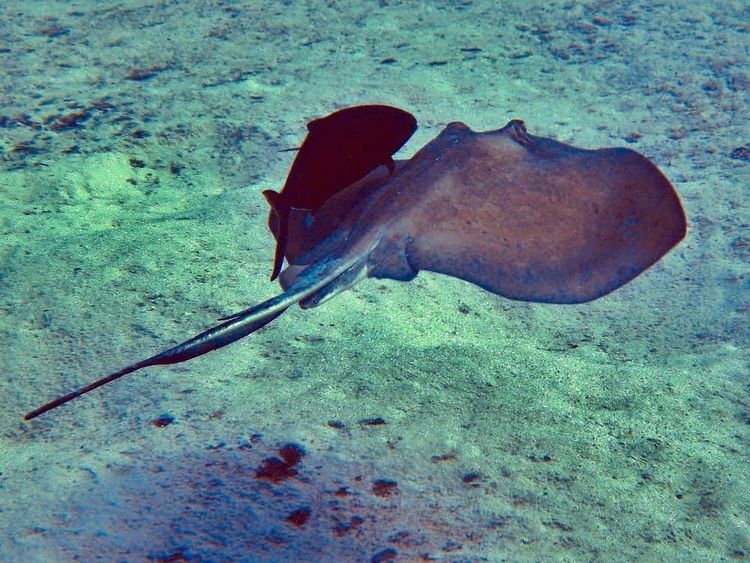 image-20260414130556-12