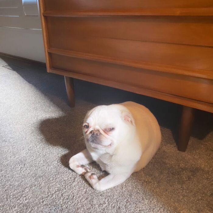 image-20260414194231-4