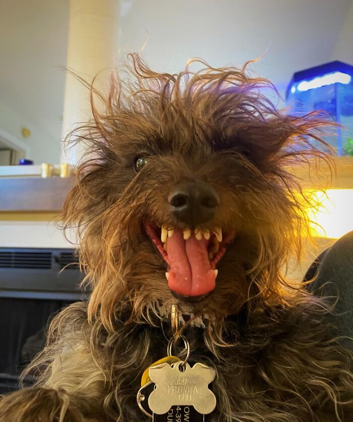 image-20260414194235-5