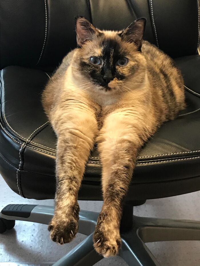 image-20260414194243-8