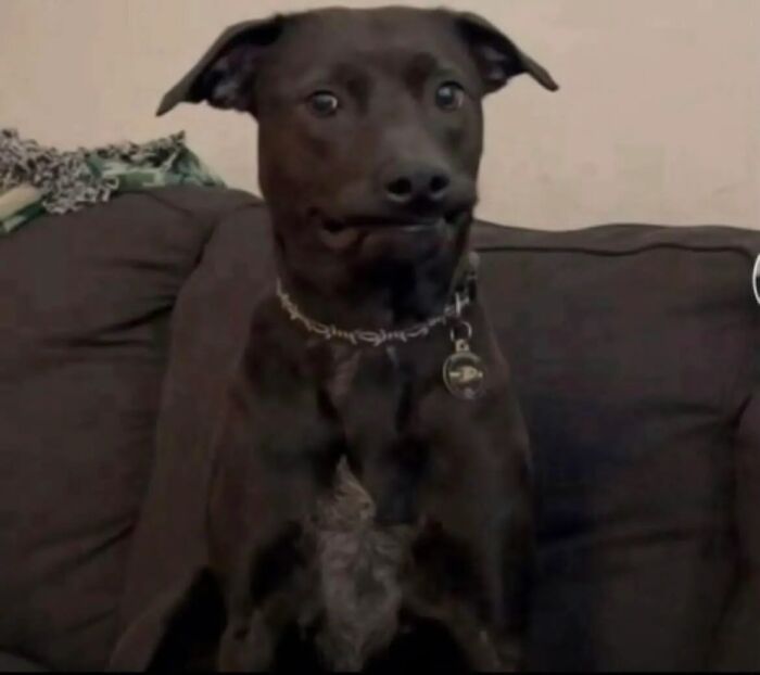 image-20260414194308-15