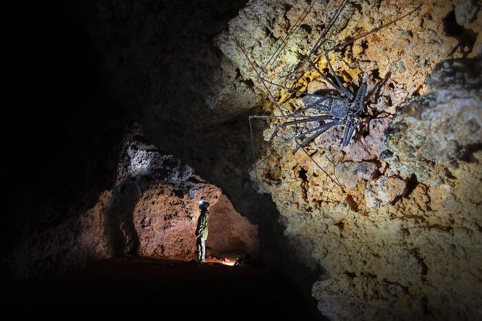 image-20260416164924-14