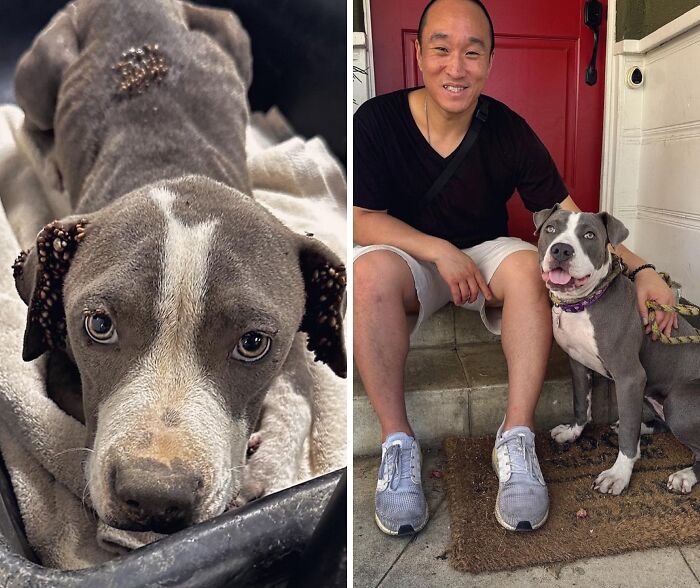 image-20260416170356-3