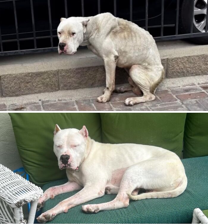 image-20260416170404-6