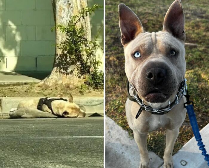 image-20260416170409-8