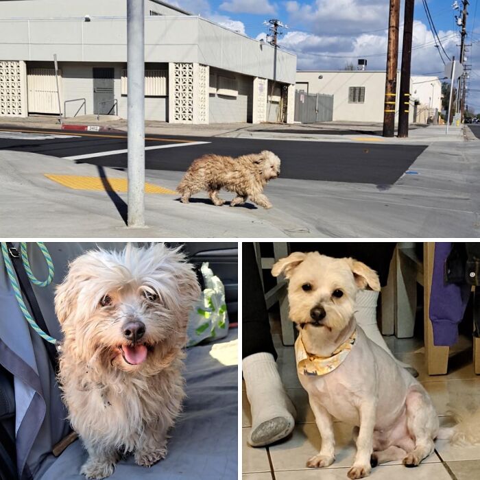 image-20260416170419-11