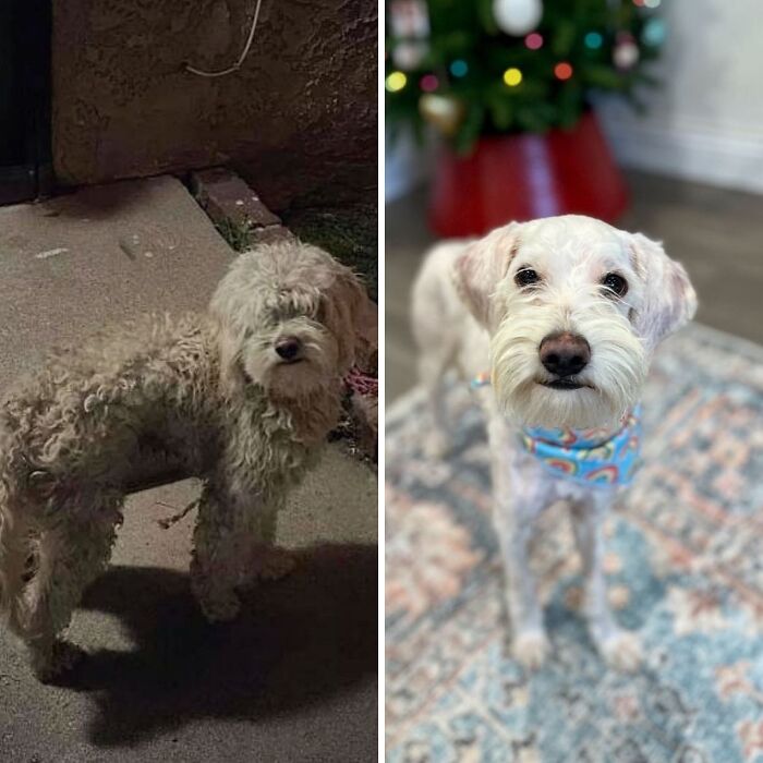 image-20260416170431-15