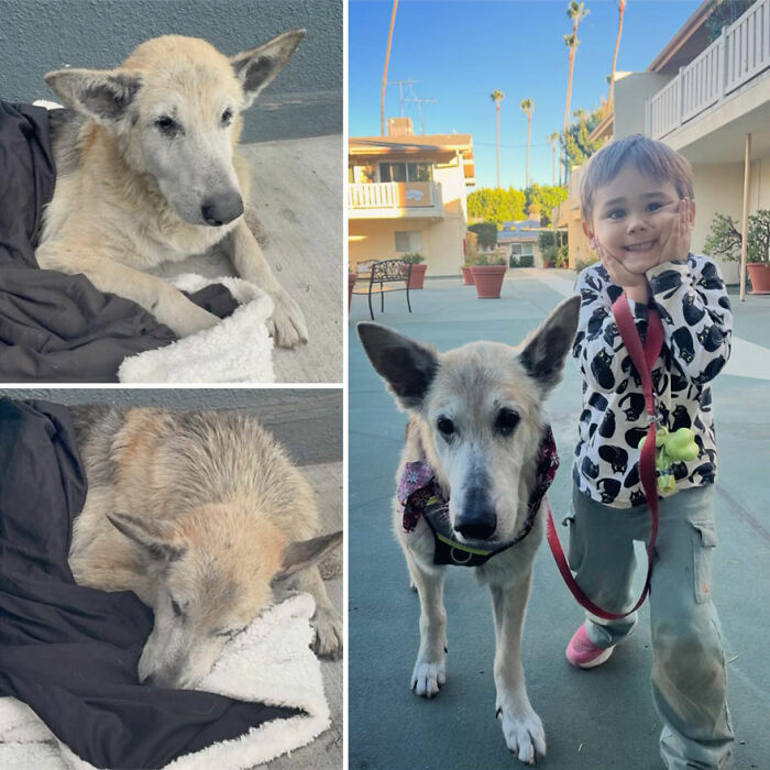 image-20260416170436-17