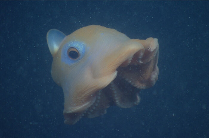 image-20260417155324-4