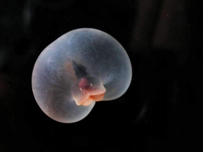 image-20260417155348-12