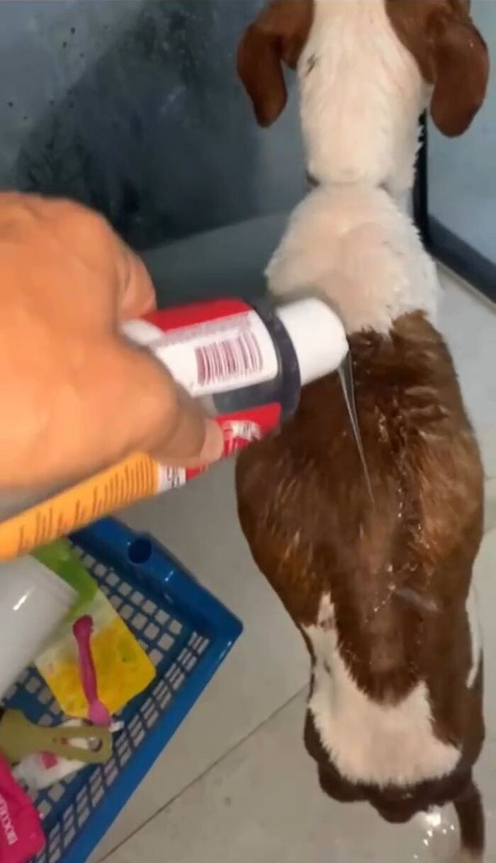 image-20260417160714-4