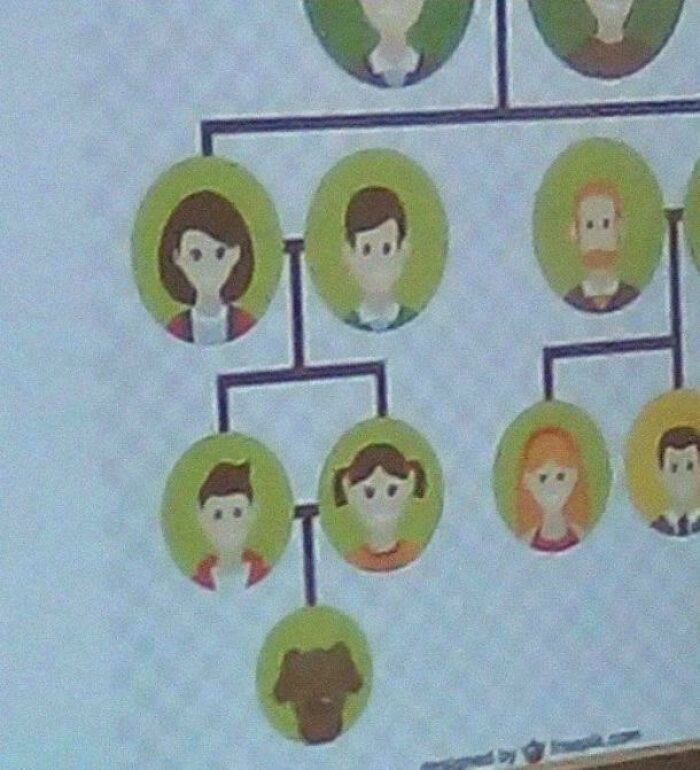 image-20260420141019-2