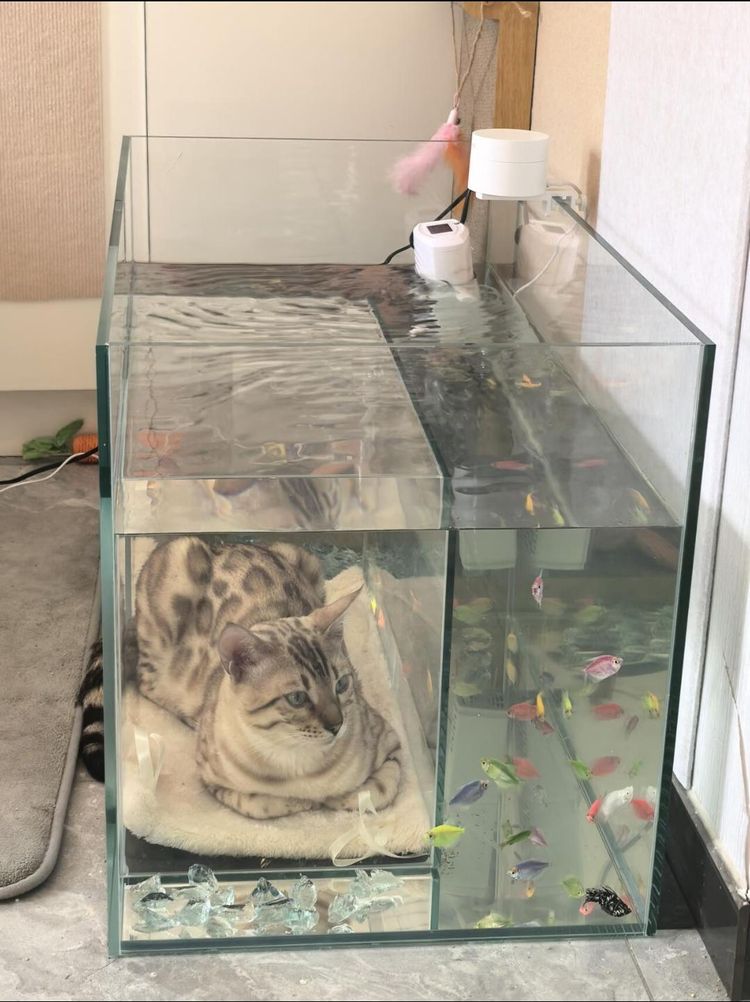 image-20260421214338-15