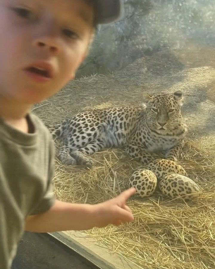 image-20260421214353-19