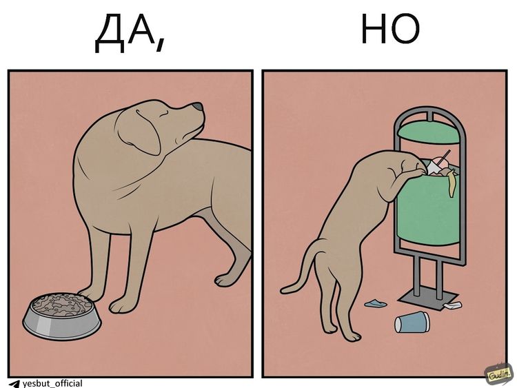 image-20260422124914-16