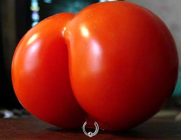 image-20260422161319-7