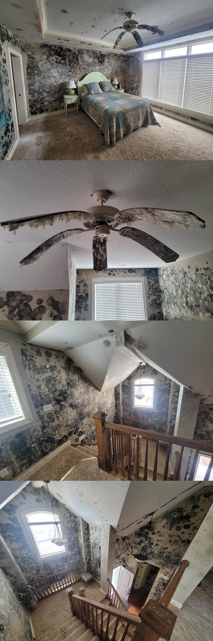 image-20260422204227-3