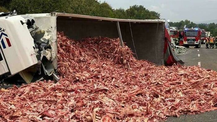 image-20260422204254-10