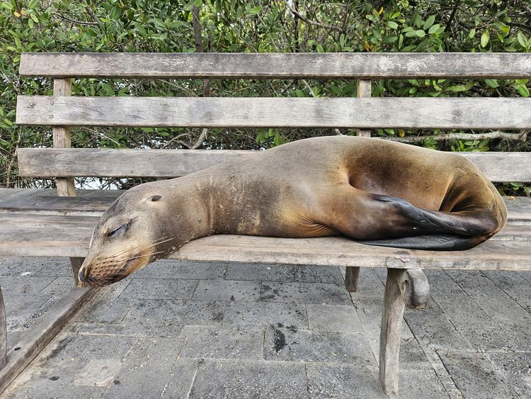 image-20260423141417-2