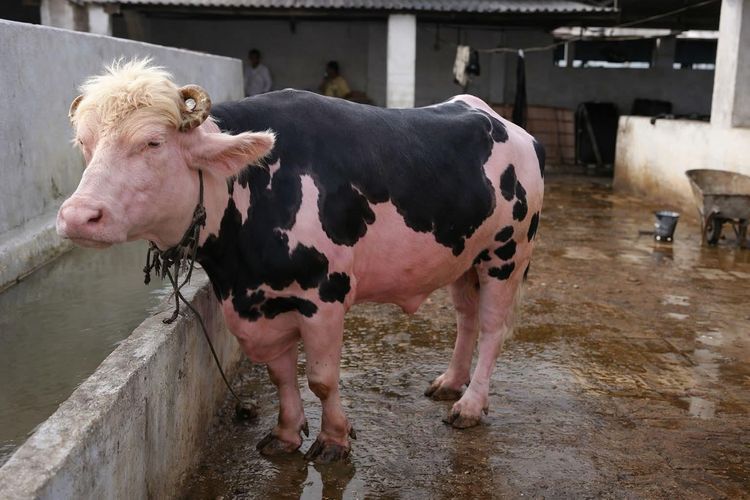 image-20260423141426-5