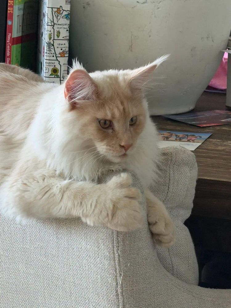 image-20260423141431-7