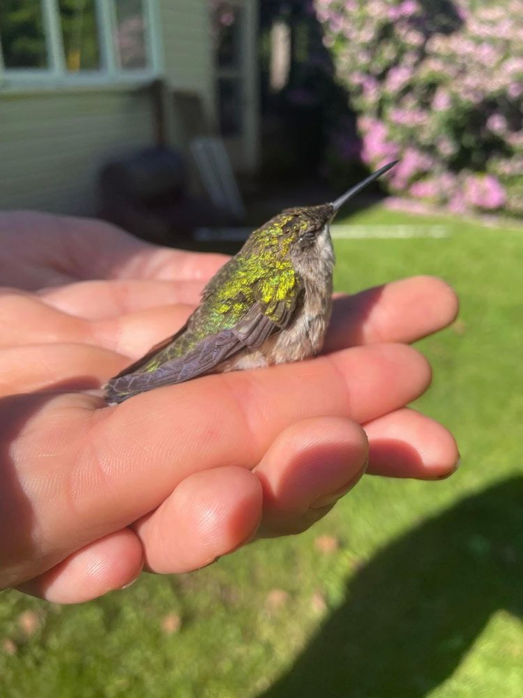 image-20260423141434-8