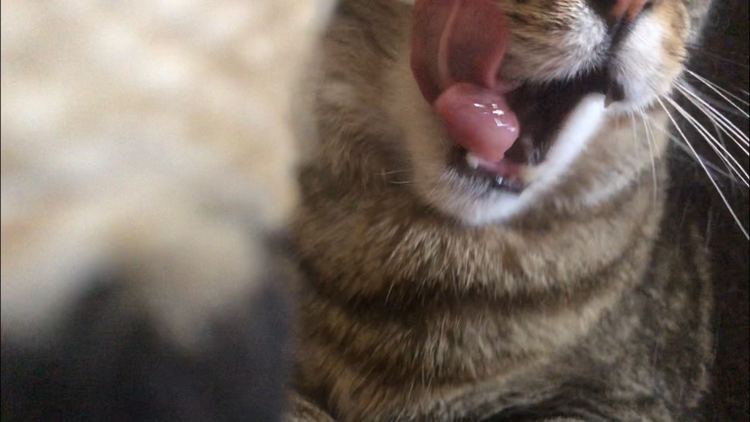 image-20260423141438-9