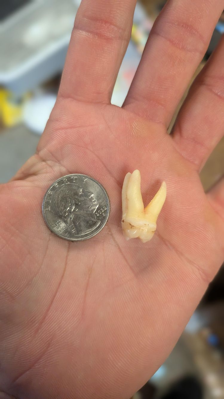 image-20260423141444-11