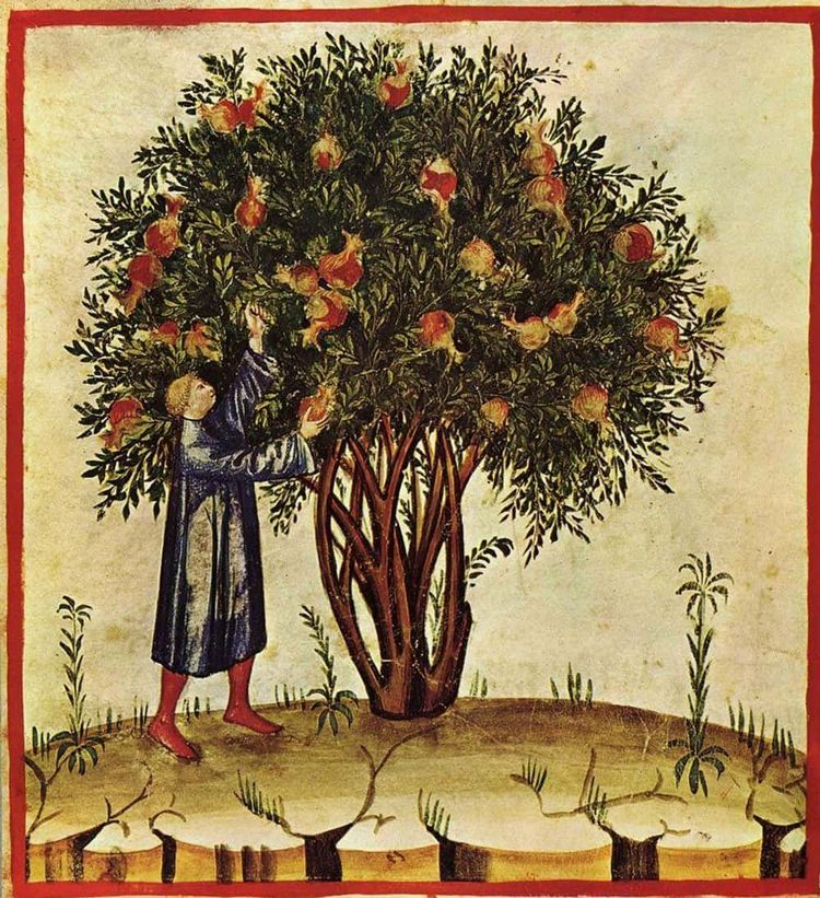 image-20260423172522-5