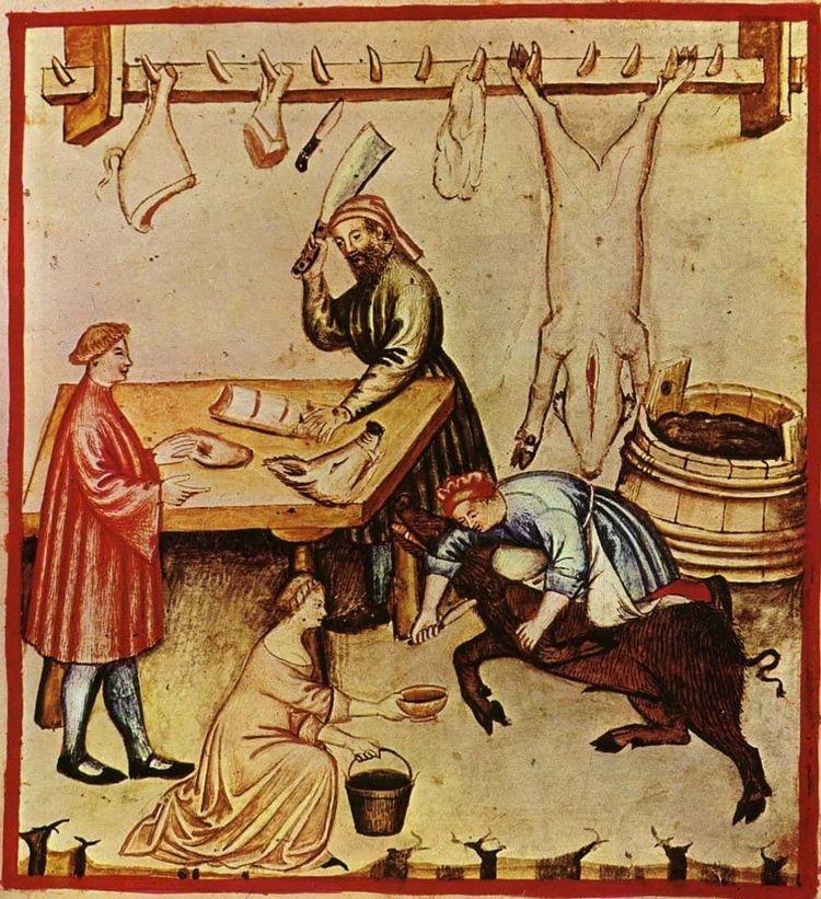 image-20260423172526-6