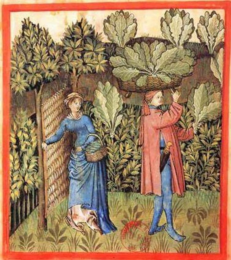 image-20260423172557-13