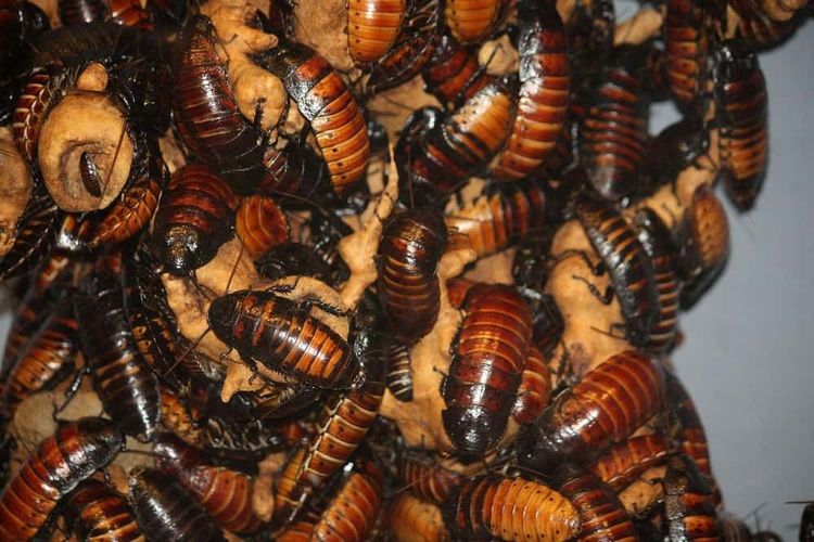 image-20260423235208-8