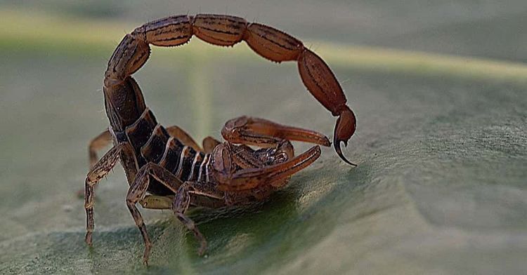 image-20260423235217-11