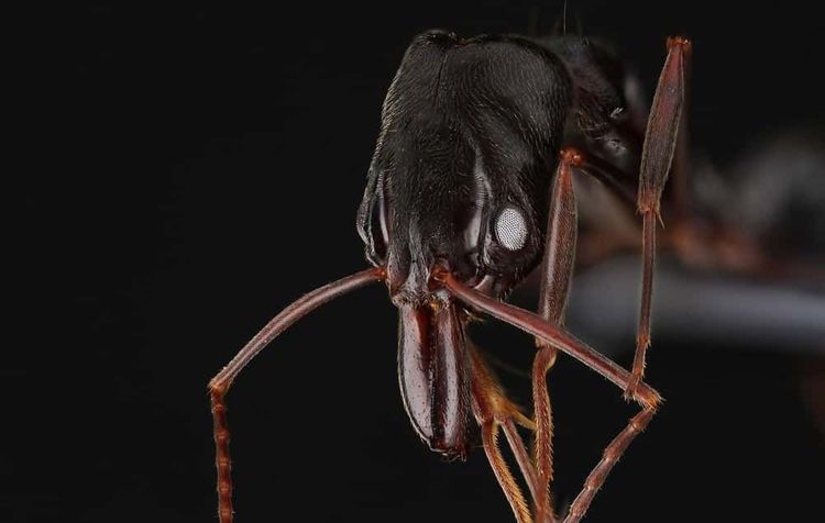 image-20260423235220-12