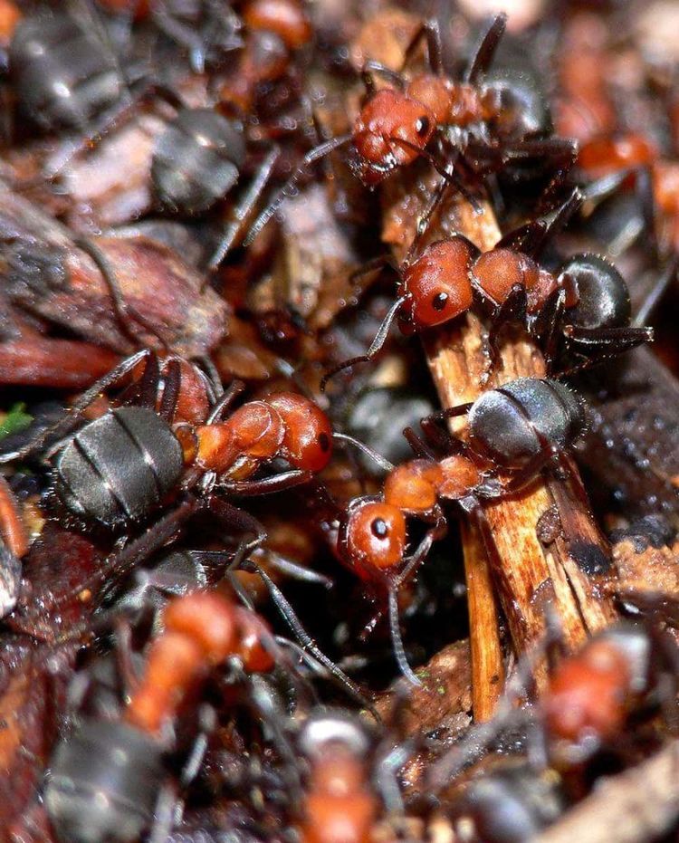 image-20260423235222-13