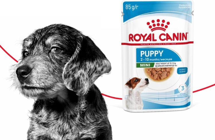 image-20260424151238-4