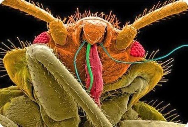 image-20260424154836-3