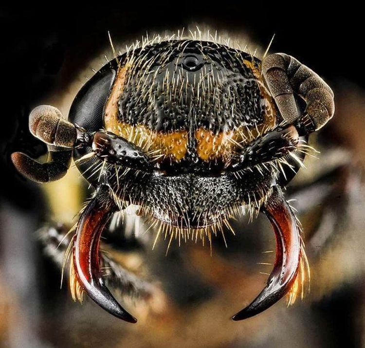 image-20260424154844-6