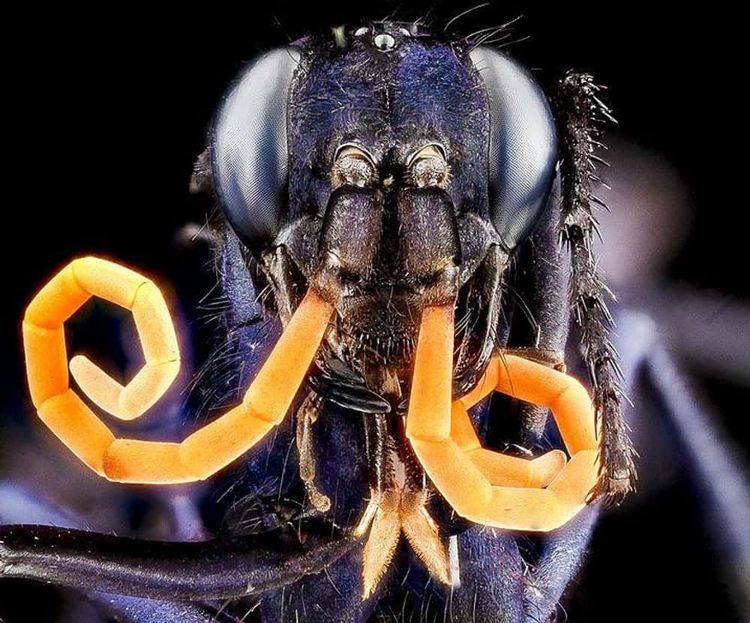 image-20260424154847-7