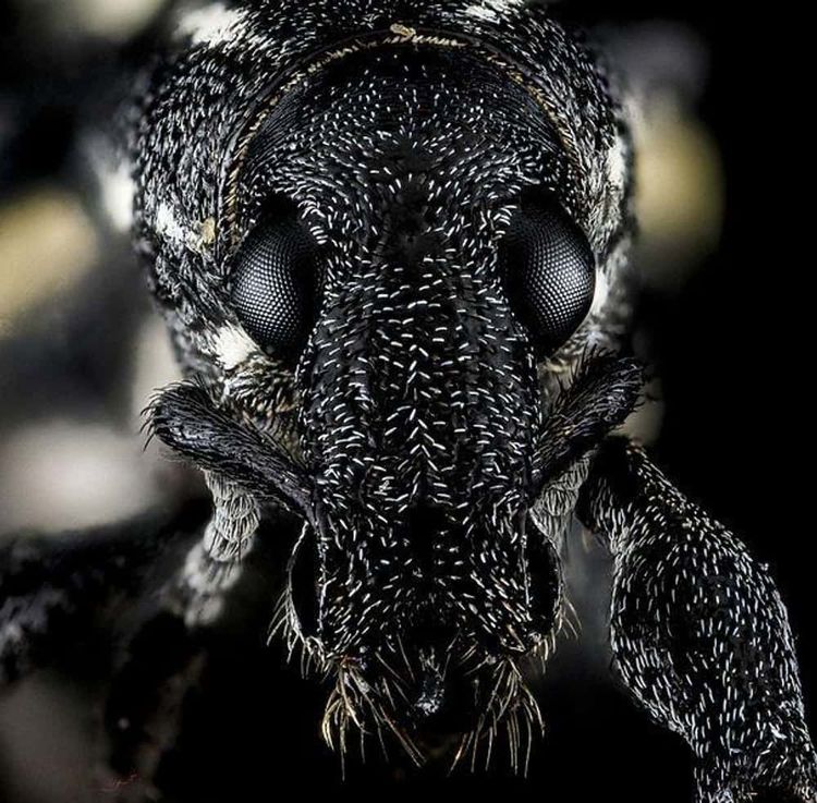 image-20260424154849-8