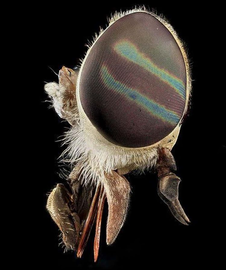 image-20260424154858-10