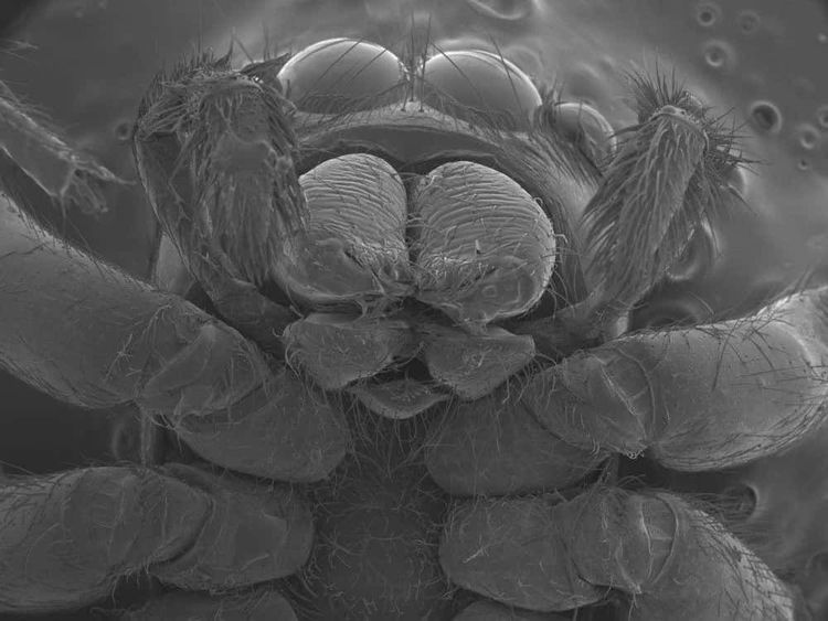 image-20260424154900-11