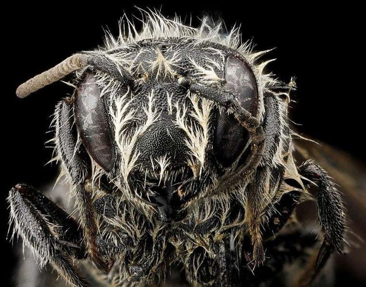 image-20260424154911-15