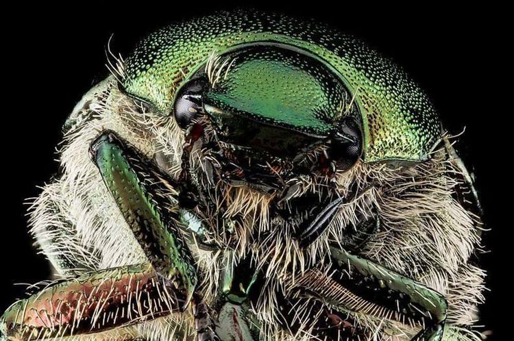 image-20260424154913-16