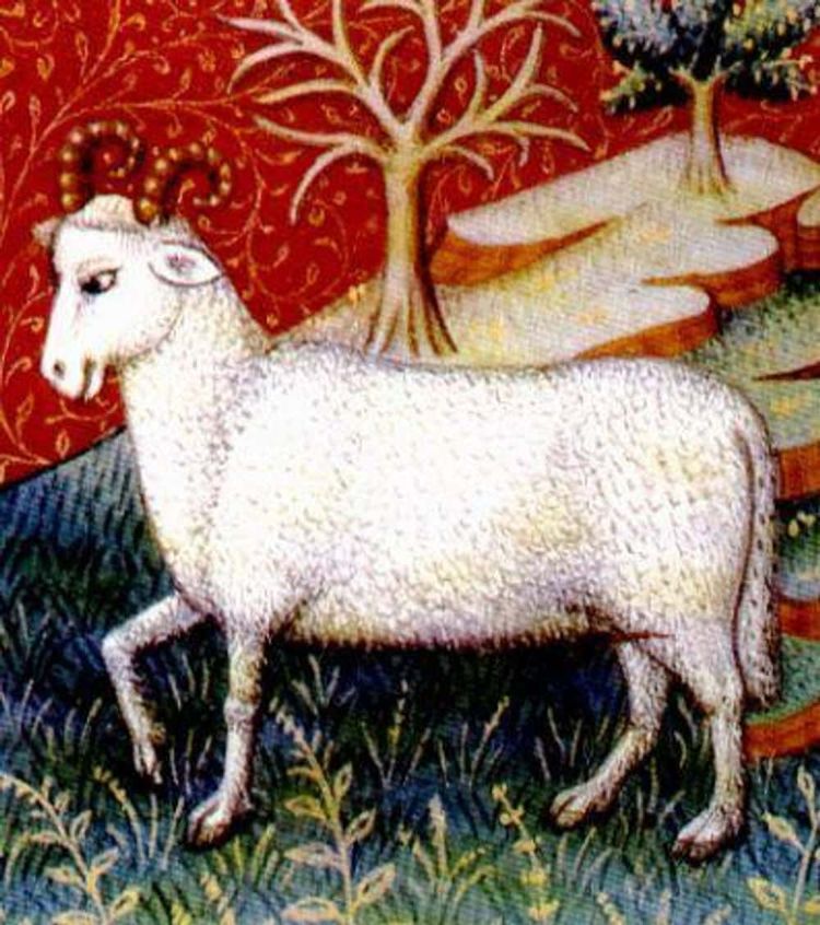 image-20260424160853-1