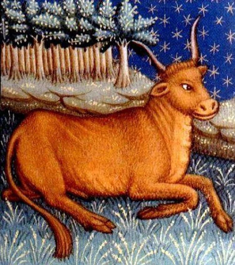 image-20260424160858-2